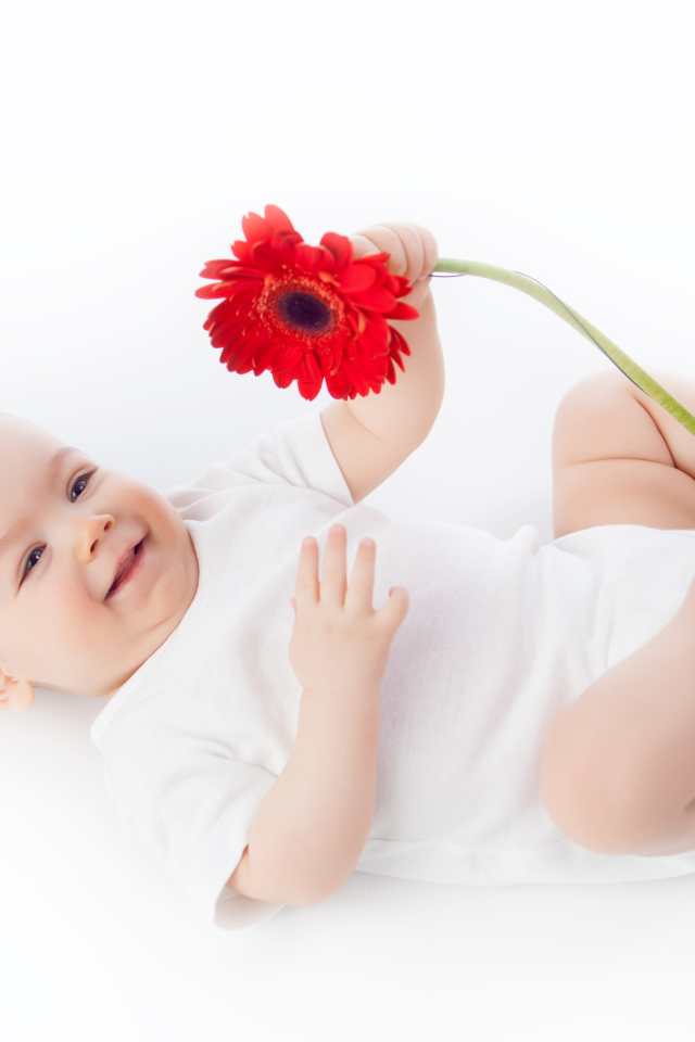 Улыбающийся младенец с цветком красной герберы на белом фоне