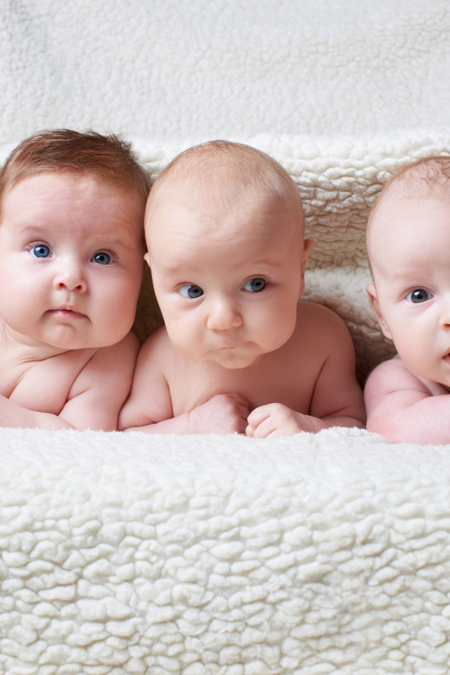 Три младенца лежат под одеялом