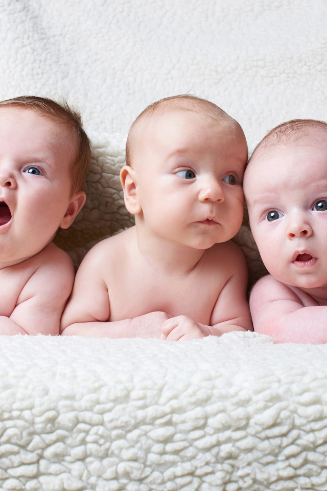 Три младенца под белым теплым одеялом