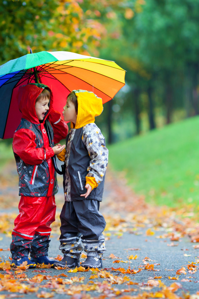 Два мальчика под разноцветным зонтом осенью