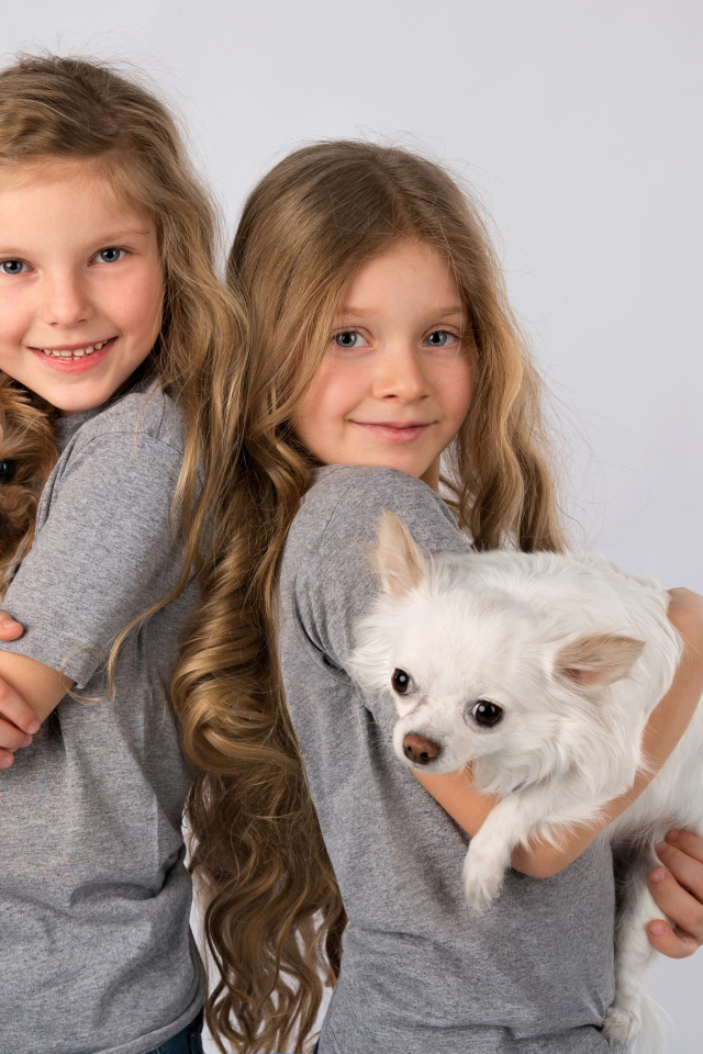 Две маленькие девочки с собачками на руках на сером фоне