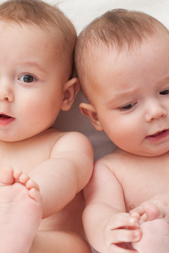 Two small baby twin babies with a toy Desktop wallpapers 640x960