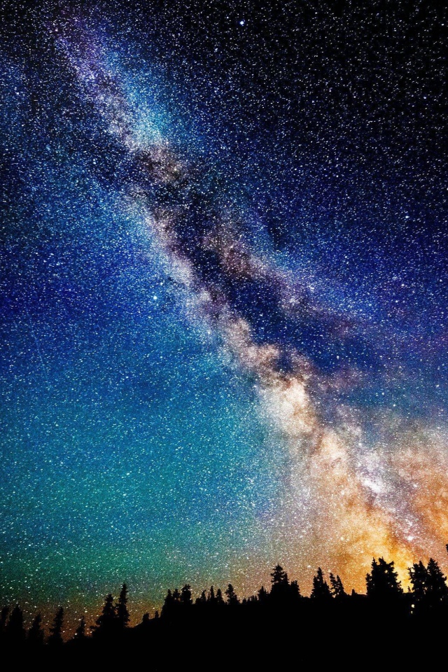 Млечный путь в звездном небе над лесом 