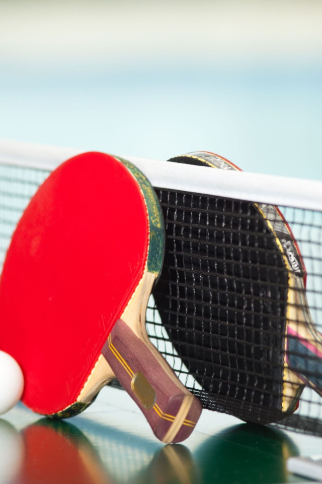 Ракетки для настольного тенниса у сетки  