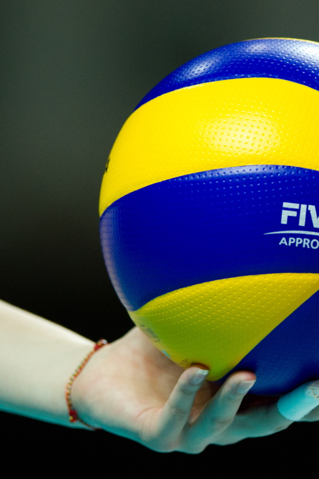 Волейбольный мяч на руке 