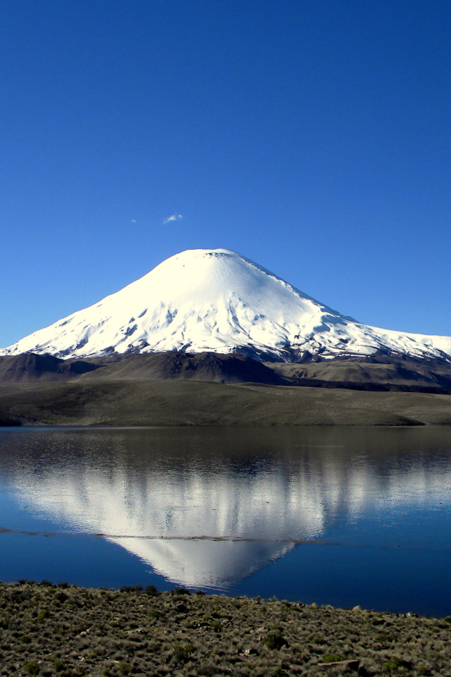 Озеро Чунгара на фоне заснеженной вершины вулкана Сахама, Чили 