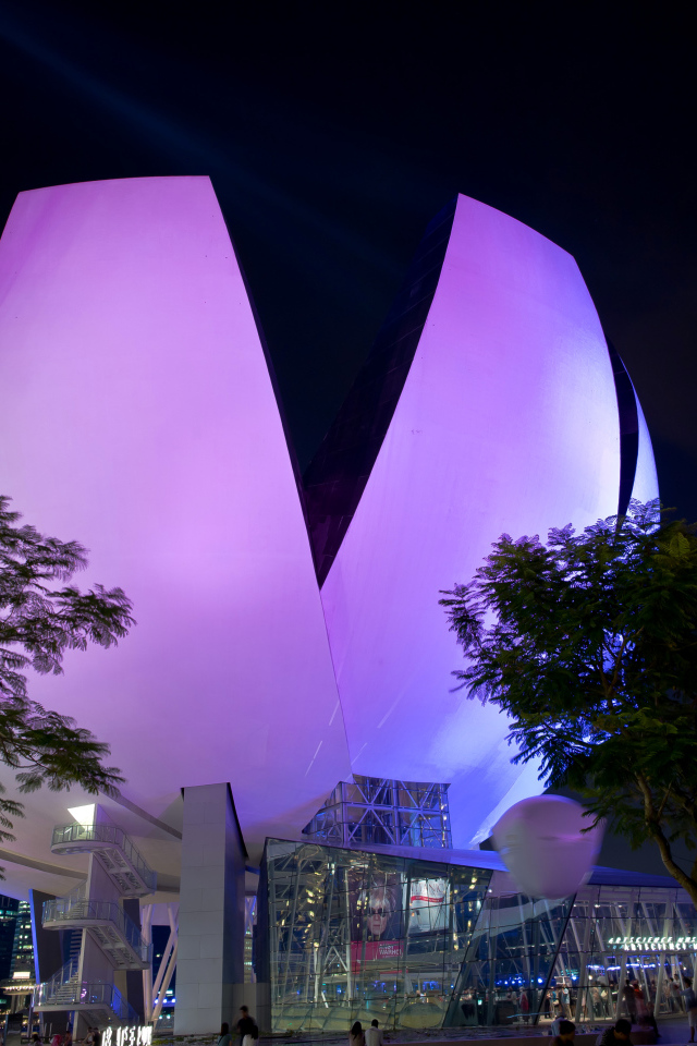 Unusual violet building at night, Singapore