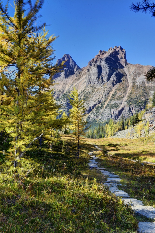 Пейзаж в живописном национальном парке Йохо, Канада 