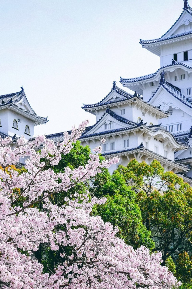 Древнейший замок Химэдзи в садах цветущей сакуры, Япония 