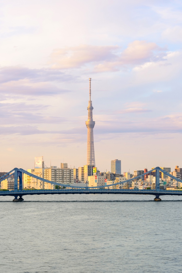 Панорама города Токио на фоне реки, Япония