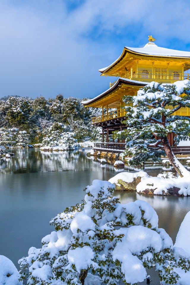 Покрытые снегом деревья и заледеневший пруд у храма Кинкаку-дзи зимой, Япония