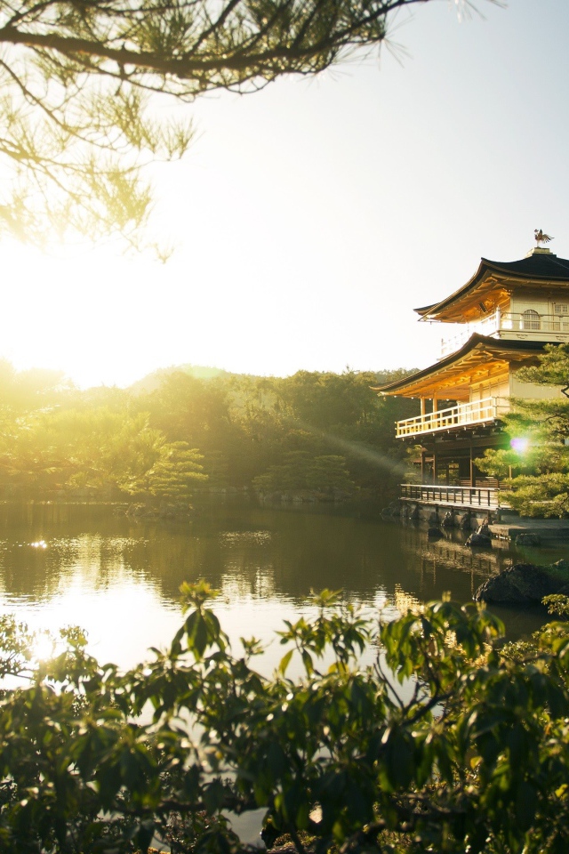 Пруд на рассвете, Япония 