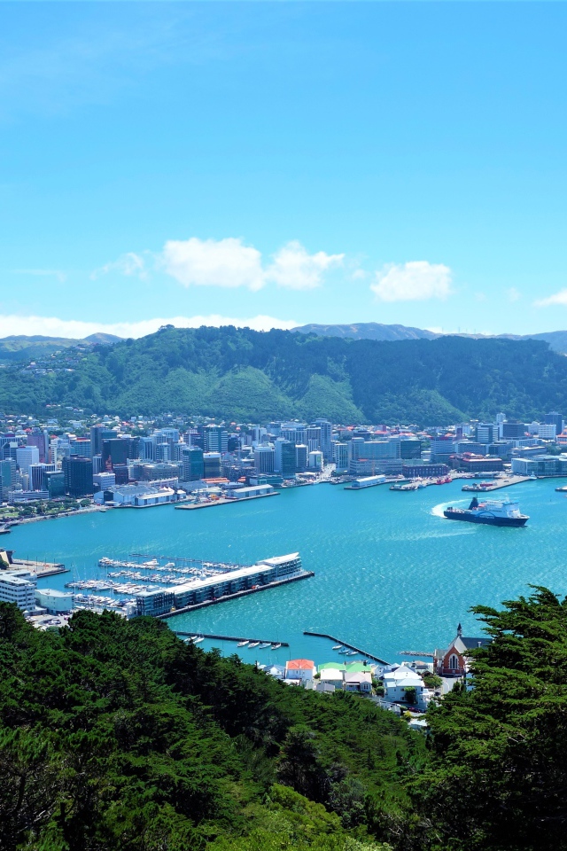 Панорама города Веллингтон, Новая Зеландия 