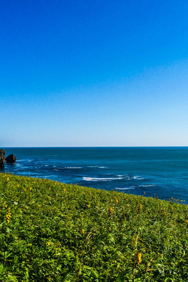 Вид на море хребет Жданко, Сахалин. Россия 