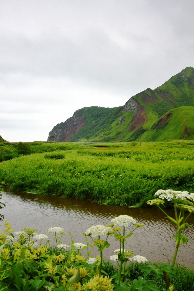 Живописная природа города Александровск-Сахалинский, Россия 