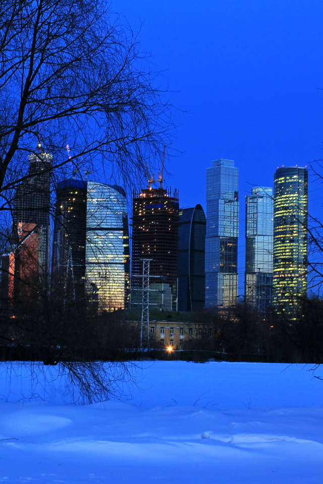 Вид на московские небоскребы из зимнего парка, Россия