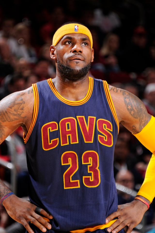 Баскетболист Леброн джеймс на поле 