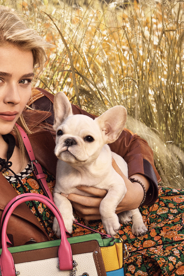 Красивая молодая актриса Хлоя Грейс Морец с собакой 