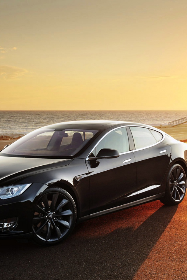 Черная Тесла на берегу моря