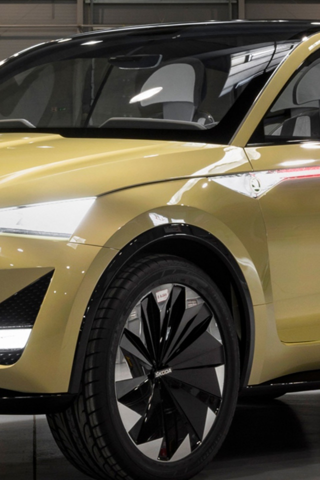 Новый электромобиль  Skoda Vision E в гараже