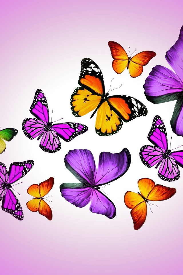 Много разноцветных бабочек на сиреневом фоне, 3д графика