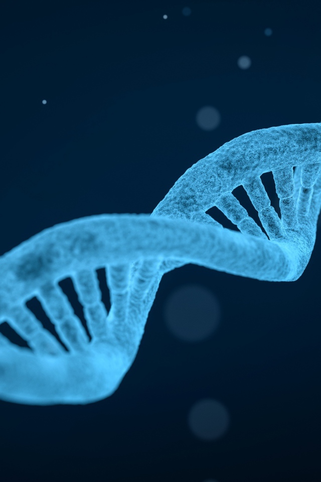 The blue structure of DNA molecules