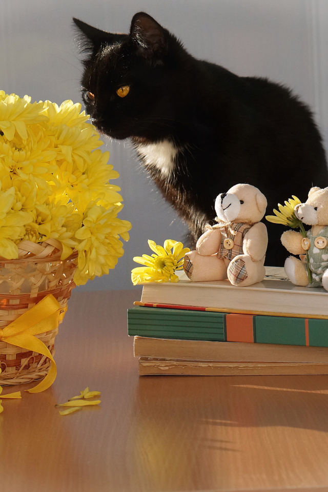 Черный кот на столе с букетом желтых хризантем и книгами
