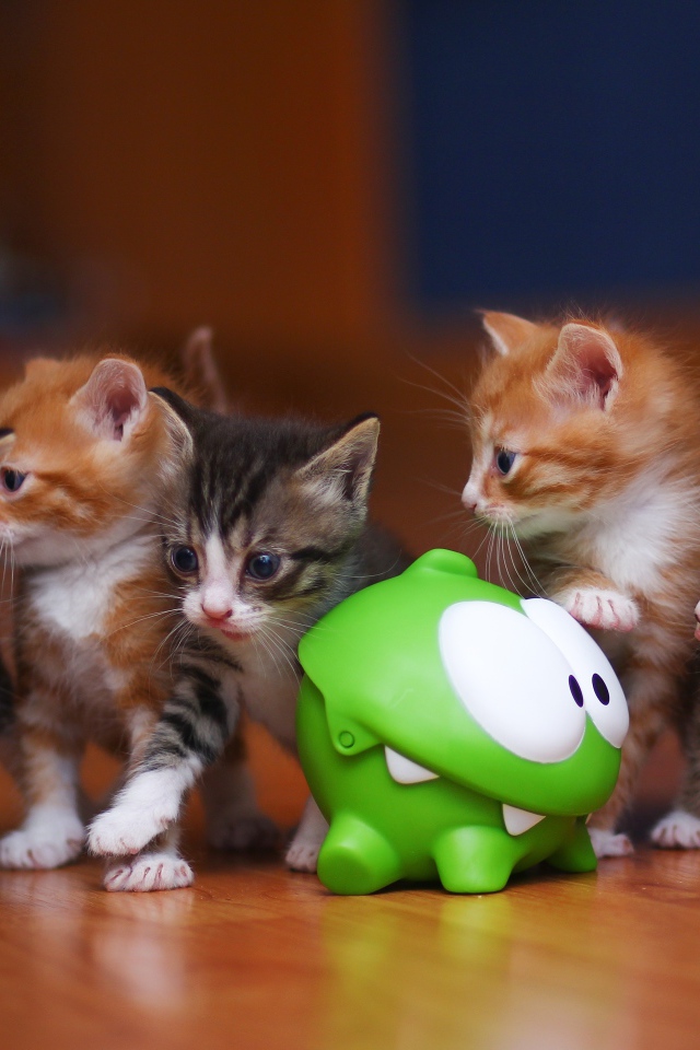 Маленькие смешные котята с зеленой игрушкой