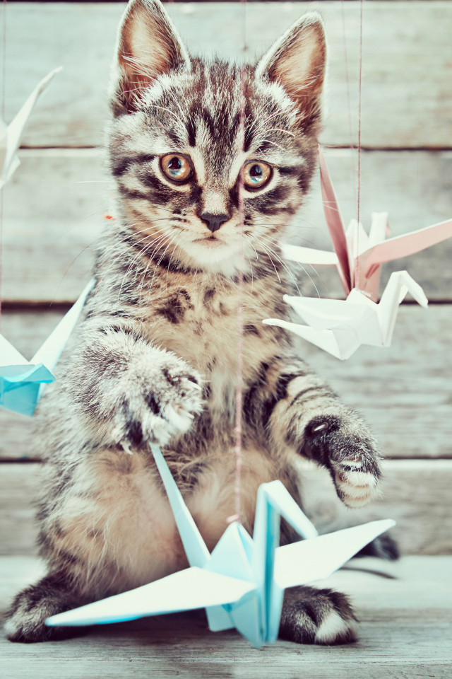Маленький серый котенок с бумажными игрушками