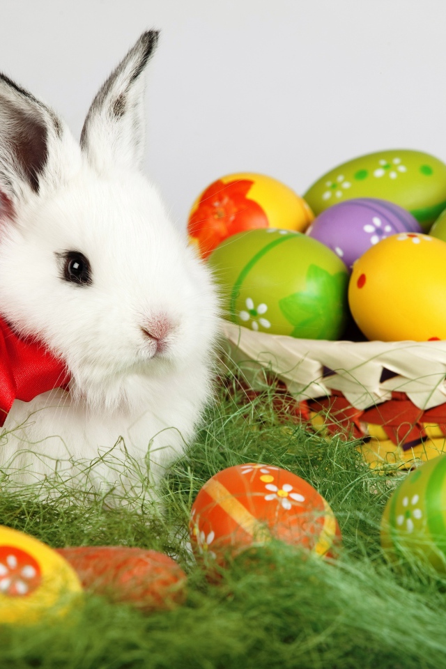 Пушистый белый декоративный кролик с корзиной пасхальных яиц