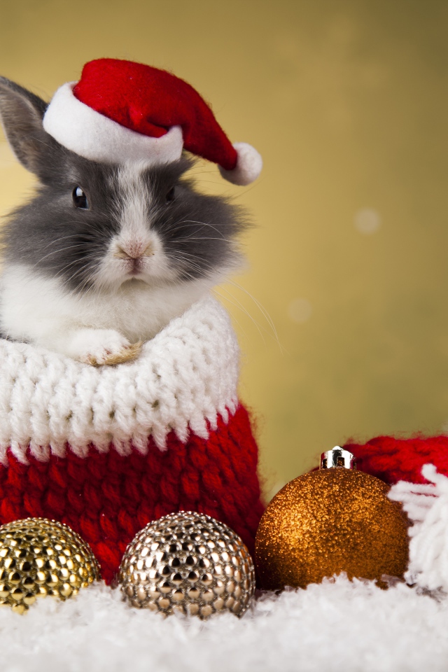 Кролик в новогодней шапке и елочными игрушками