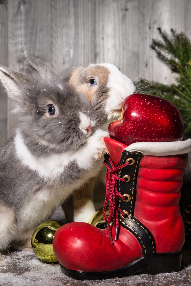 Два кролика с Рождественский сапогом и елью 