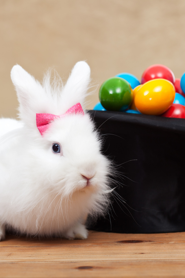 Белый кролик с черным цилиндром с крашеными яйцами