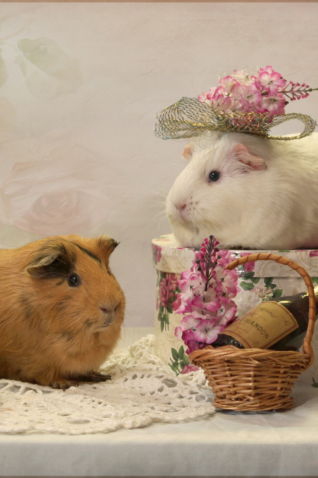 Две морские свинки с цветами