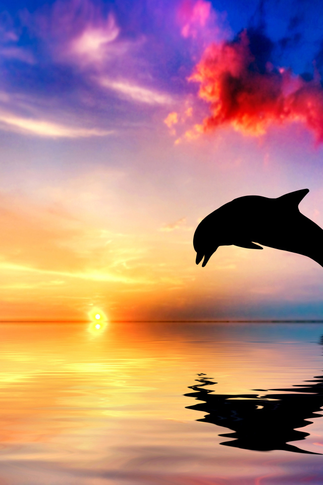 Дельфин выпрыгивает из воды на закате солнца
