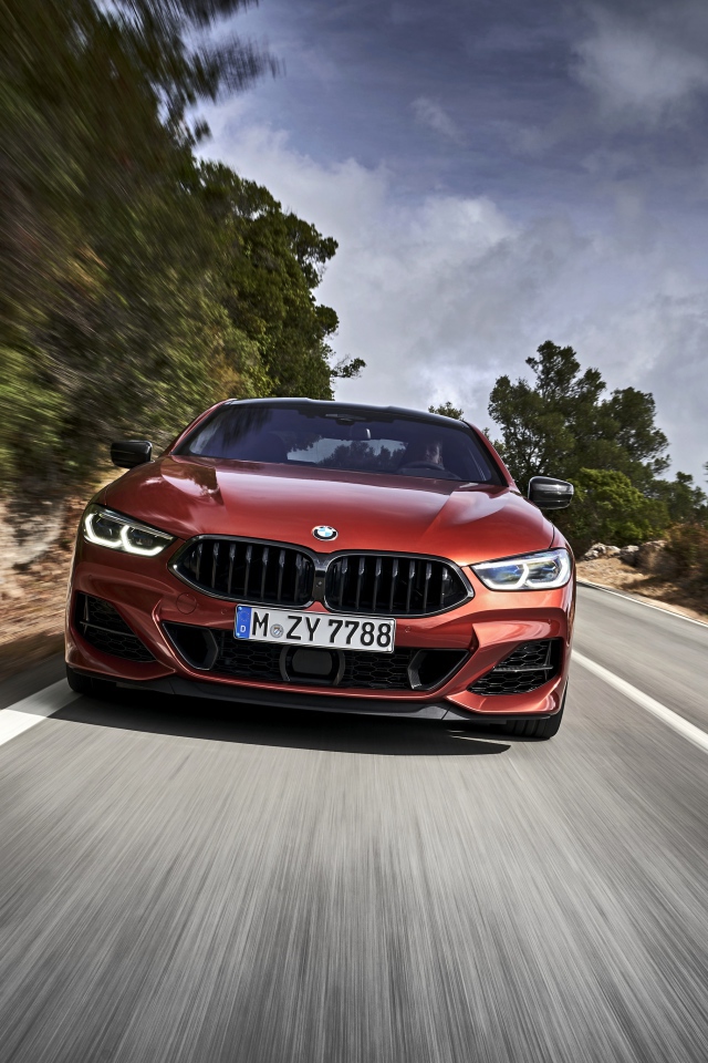Бордовый автомобиль BMW 8 Series на трассе