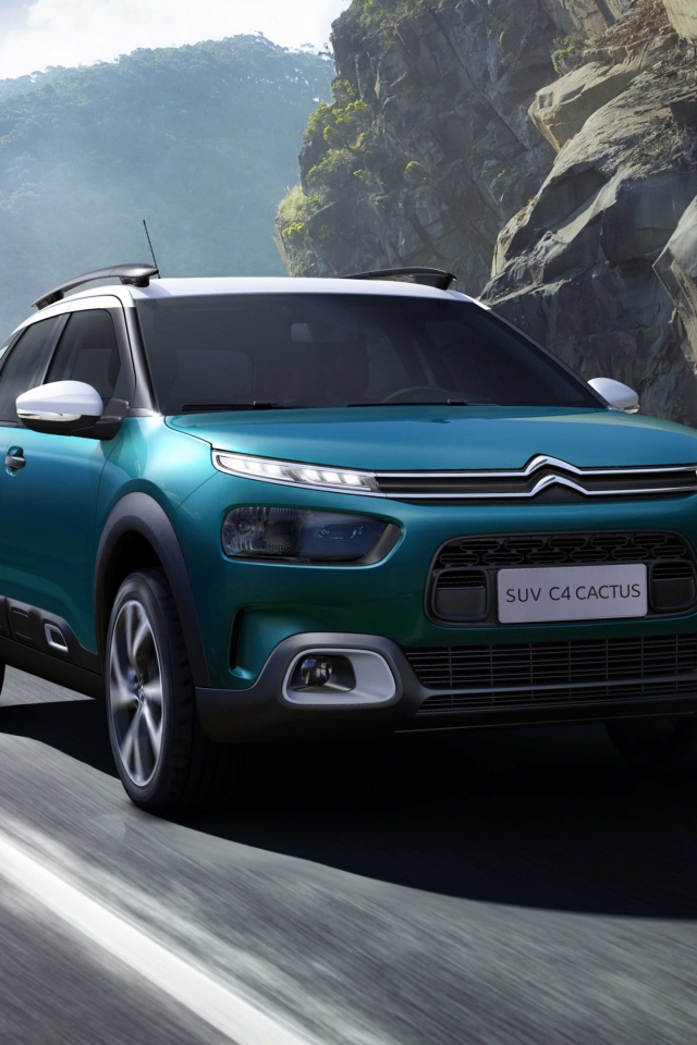 Внедорожник Citroen C4, 2018 на фоне гор