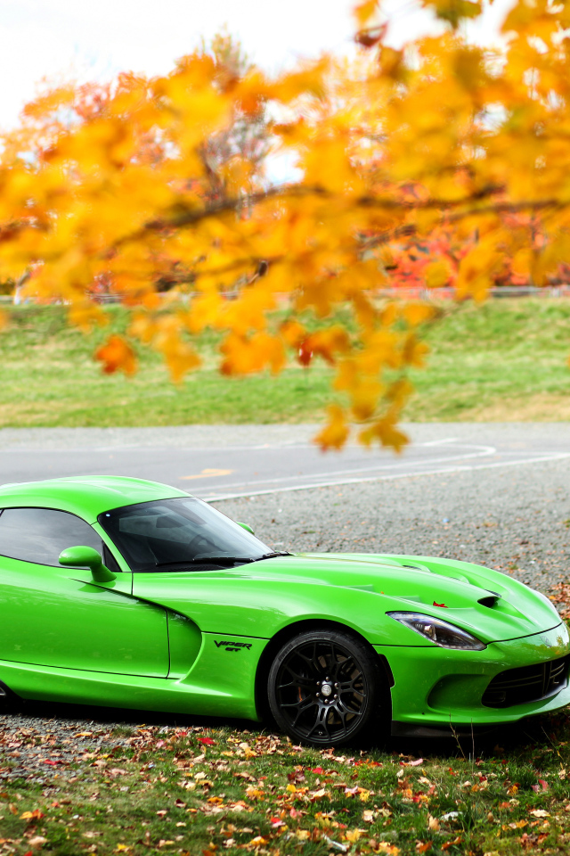 Зеленый спортивный автомобиль  Dodge Viper GTC