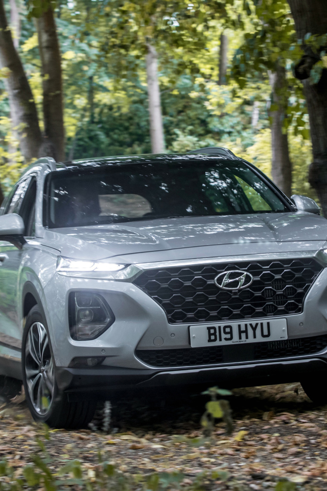 Серебристый автомобиль Hyundai Santa Fe, 2019 года в лесу