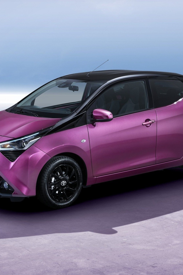 Маленький электрический автомобиль Hyundai Kona, 2019