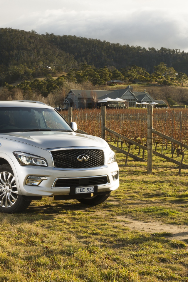 Серебристый автомобиль Infiniti QX80 на ферме