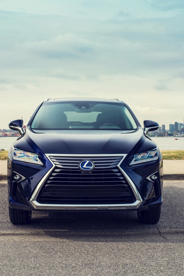 Черный автомобиль Lexus RX 450hL, 2018 года