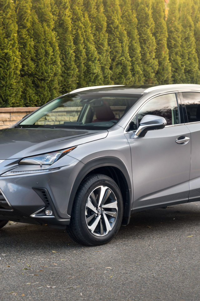 Японский серебристый внедорожник Lexus NX 300h, 2018 года