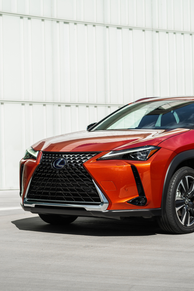 Красный автомобиль Lexus UX 250h, 2019 года