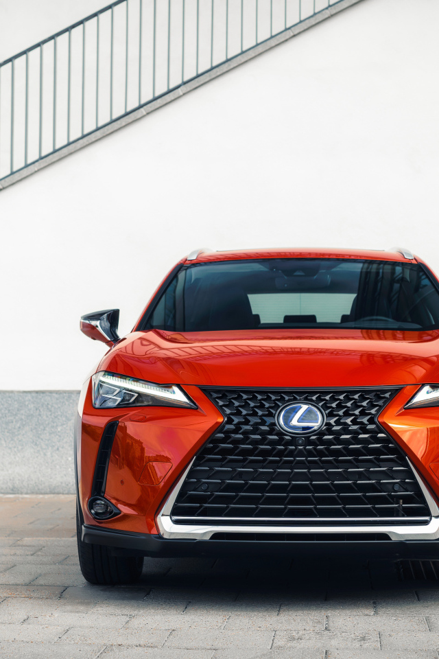 Красный автомобиль Lexus UX 250h, 2019 года вид спереди