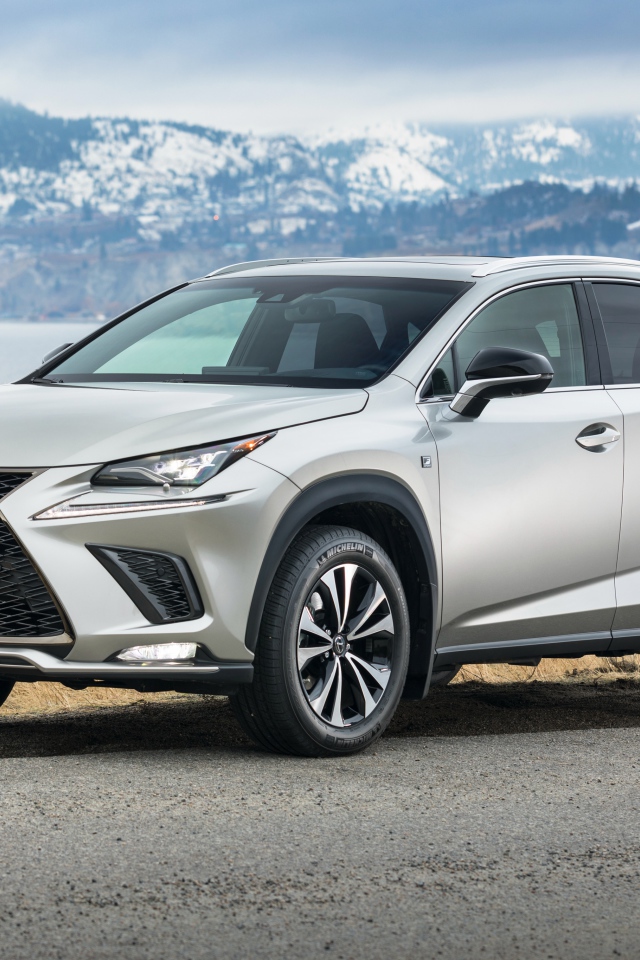 Серебристый автомобиль Lexus  NX 300 F SPORT, 2018
