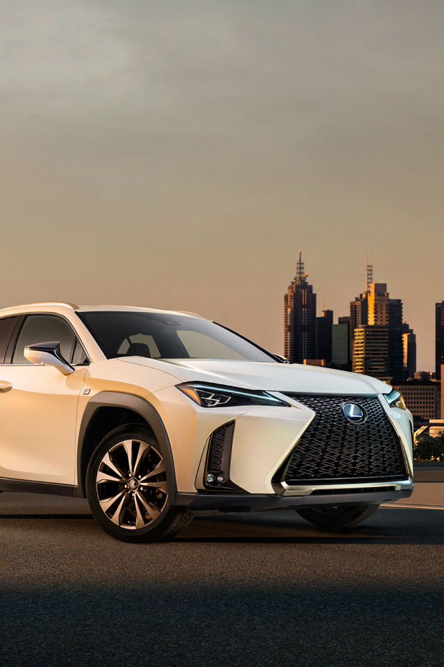 Белый внедорожник Lexus UX, 2019 на фоне города