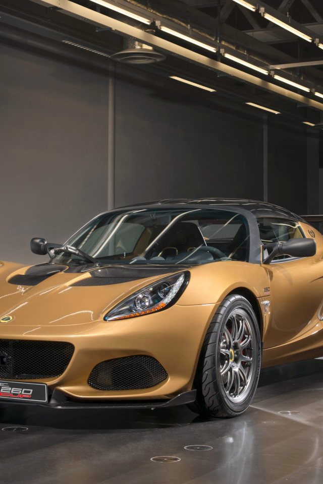 Спортивный автомобиль Lotus Elise в гараже