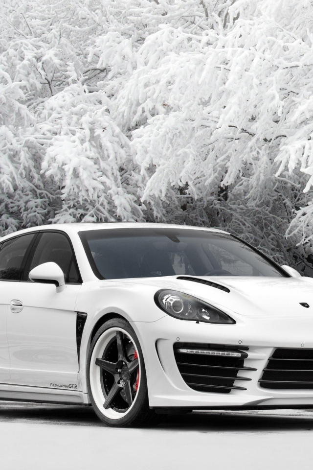 Белый автомобиль Porsche Panamera на фоне покрытых инеем деревьев 