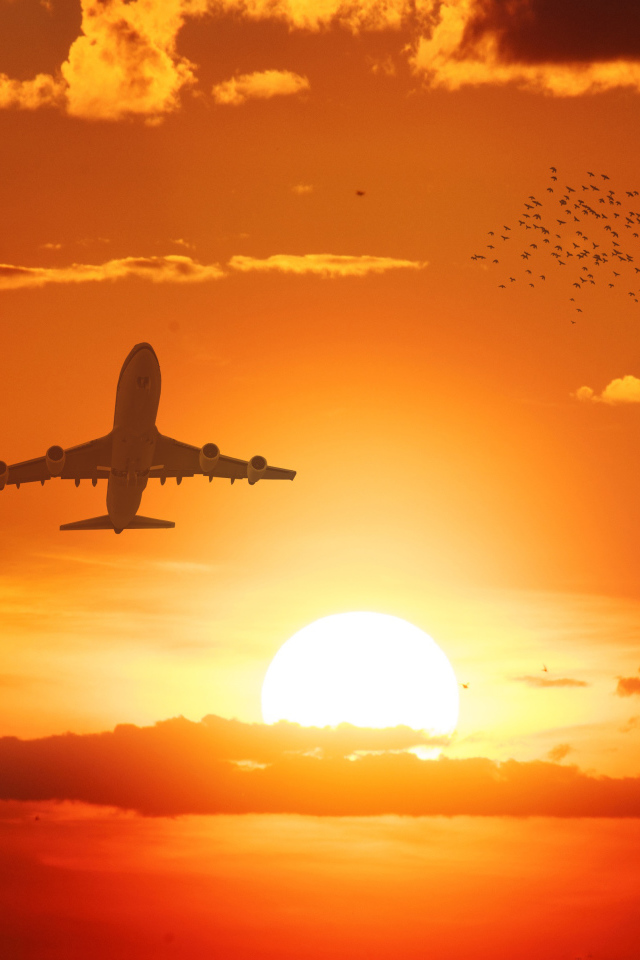 Самолет в небе на фоне солнца на закате